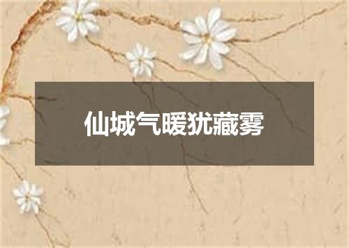 仙城气暖犹藏雾