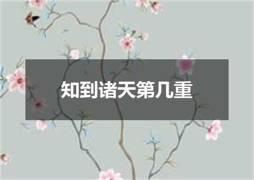知到诸天第几重