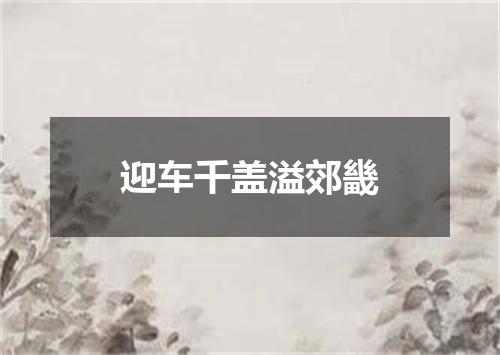 迎车千盖溢郊畿