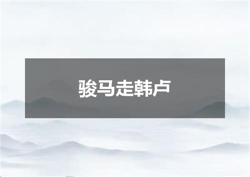 骏马走韩卢