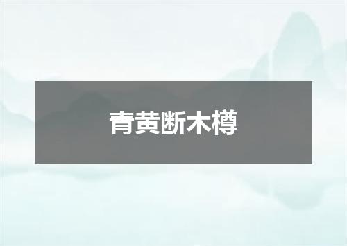 青黄断木樽