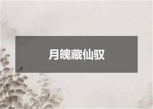 月魄藏仙驭