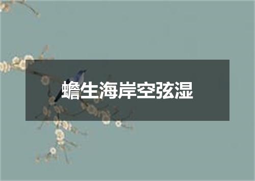 蟾生海岸空弦湿