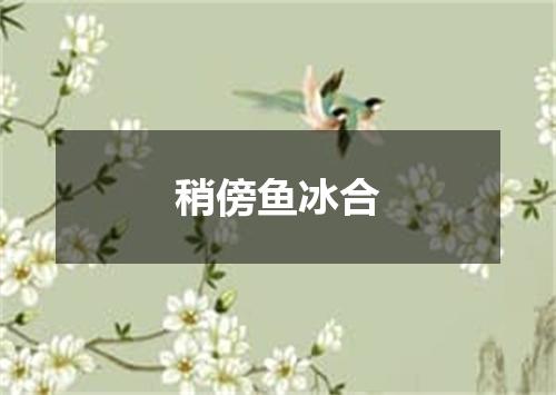稍傍鱼冰合