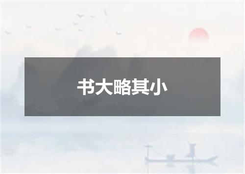 书大略其小