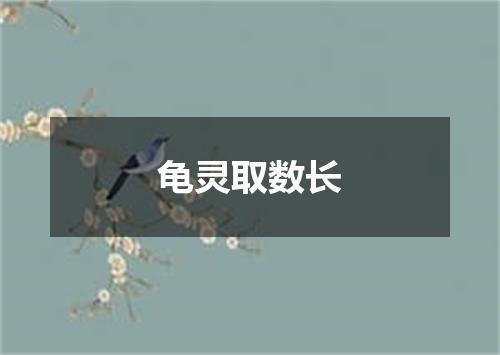 龟灵取数长