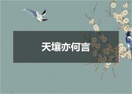天壤亦何言
