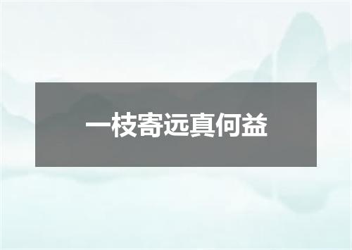 一枝寄远真何益