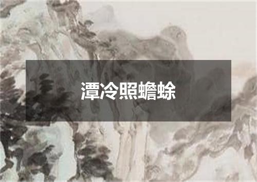 潭冷照蟾蜍