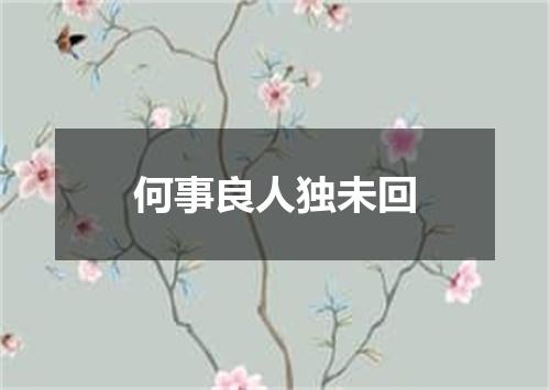 何事良人独未回