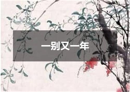 一别又一年
