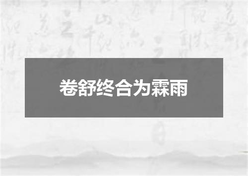 卷舒终合为霖雨
