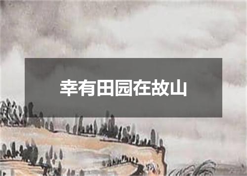 幸有田园在故山