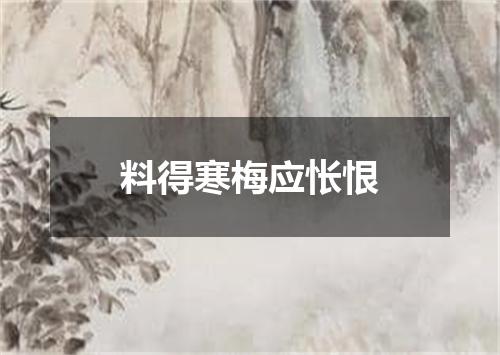 料得寒梅应怅恨