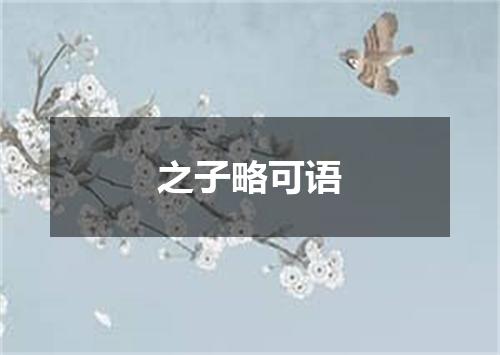 之子略可语