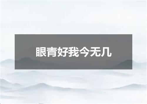 眼青好我今无几