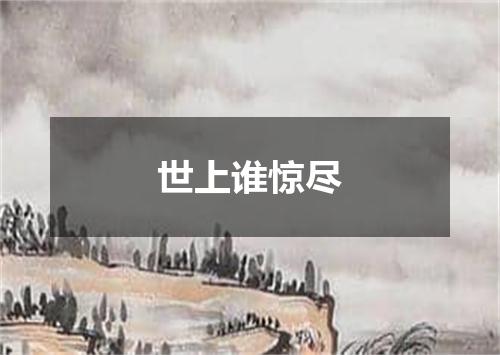 世上谁惊尽