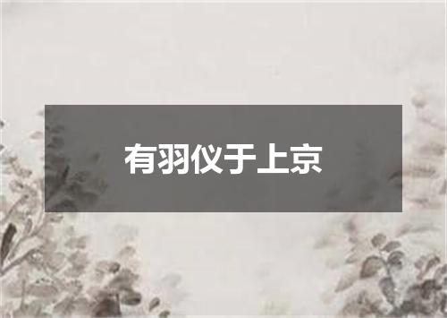 有羽仪于上京