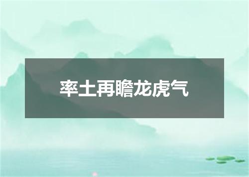 率土再瞻龙虎气