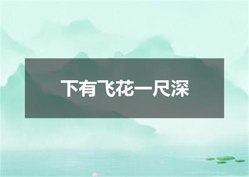 下有飞花一尺深