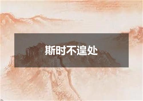 斯时不遑处
