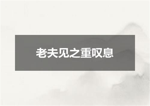 老夫见之重叹息