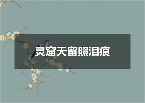 灵窟天留照泪痕