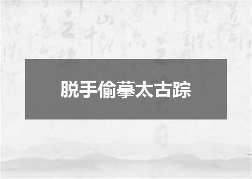 脱手偷摹太古踪