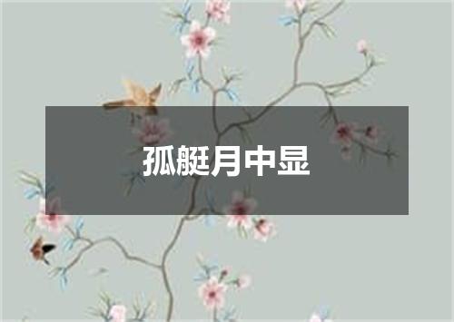 孤艇月中显