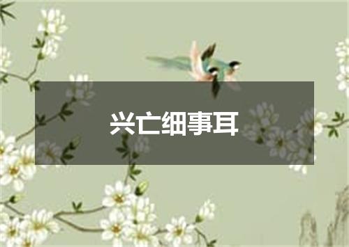 兴亡细事耳