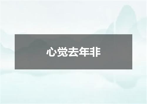 心觉去年非