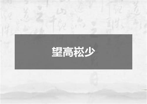 望高崧少