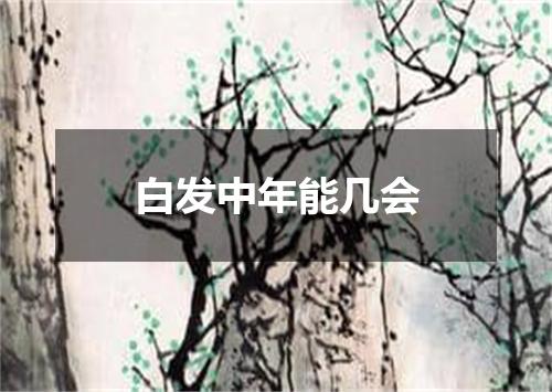 白发中年能几会