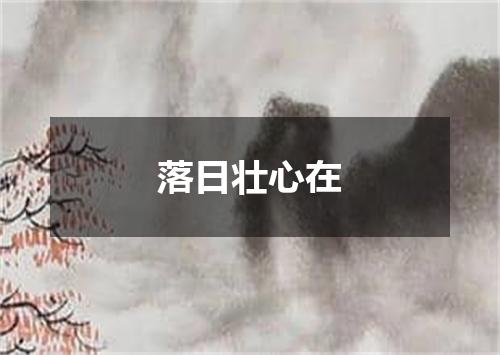 落日壮心在