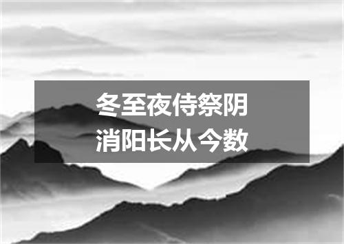 冬至夜侍祭阴消阳长从今数