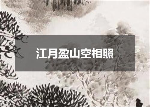 江月盈山空相照