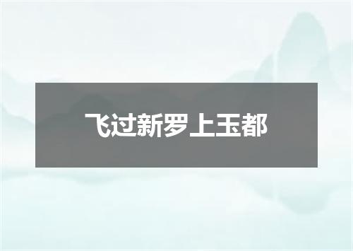 飞过新罗上玉都