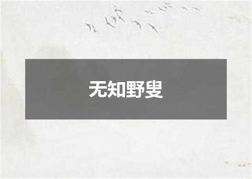 无知野叟