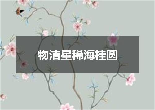 物洁星稀海桂圆