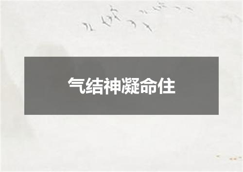 气结神凝命住