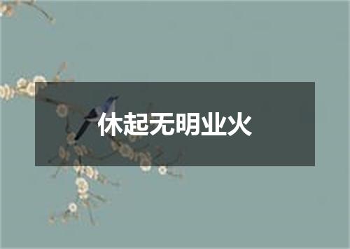 休起无明业火