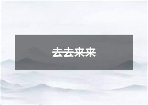 去去来来