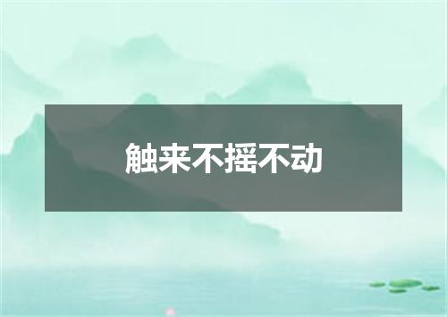 触来不摇不动