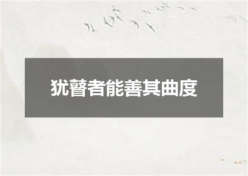 犹瞽者能善其曲度