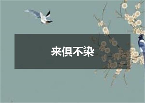 来俱不染