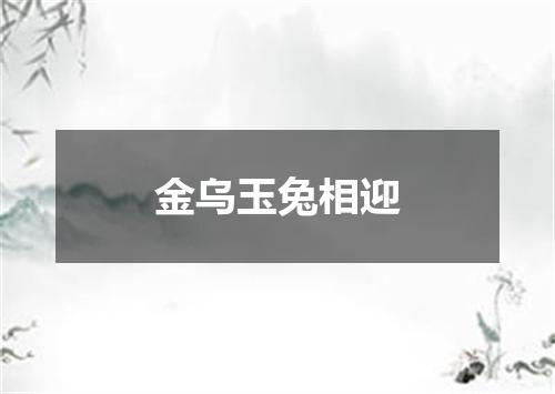 金乌玉兔相迎