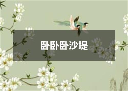 卧卧卧沙堤