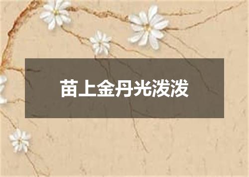 苗上金丹光泼泼