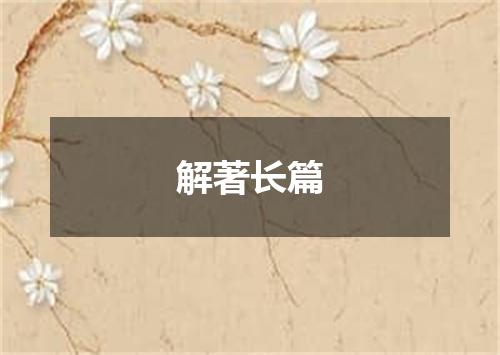 解著长篇