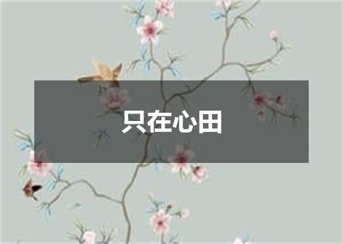 只在心田